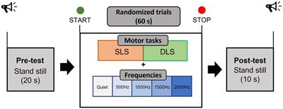 Facilitating or disturbing? An investigation about the effects of auditory frequencies on prefrontal cortex activation and postural sway